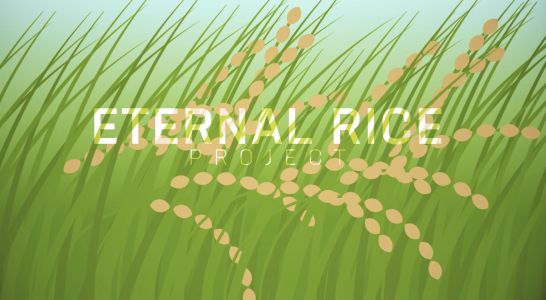 Vidéo du projet Riz Eternel 